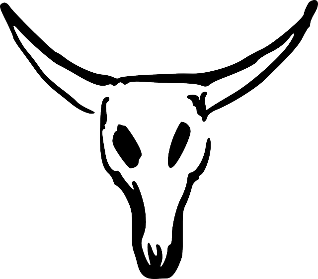 Animals, Skull, Cartoon, Cow, Cattle, Mammals, Bull - Cow Skull Clipart (640x560), Png Download
