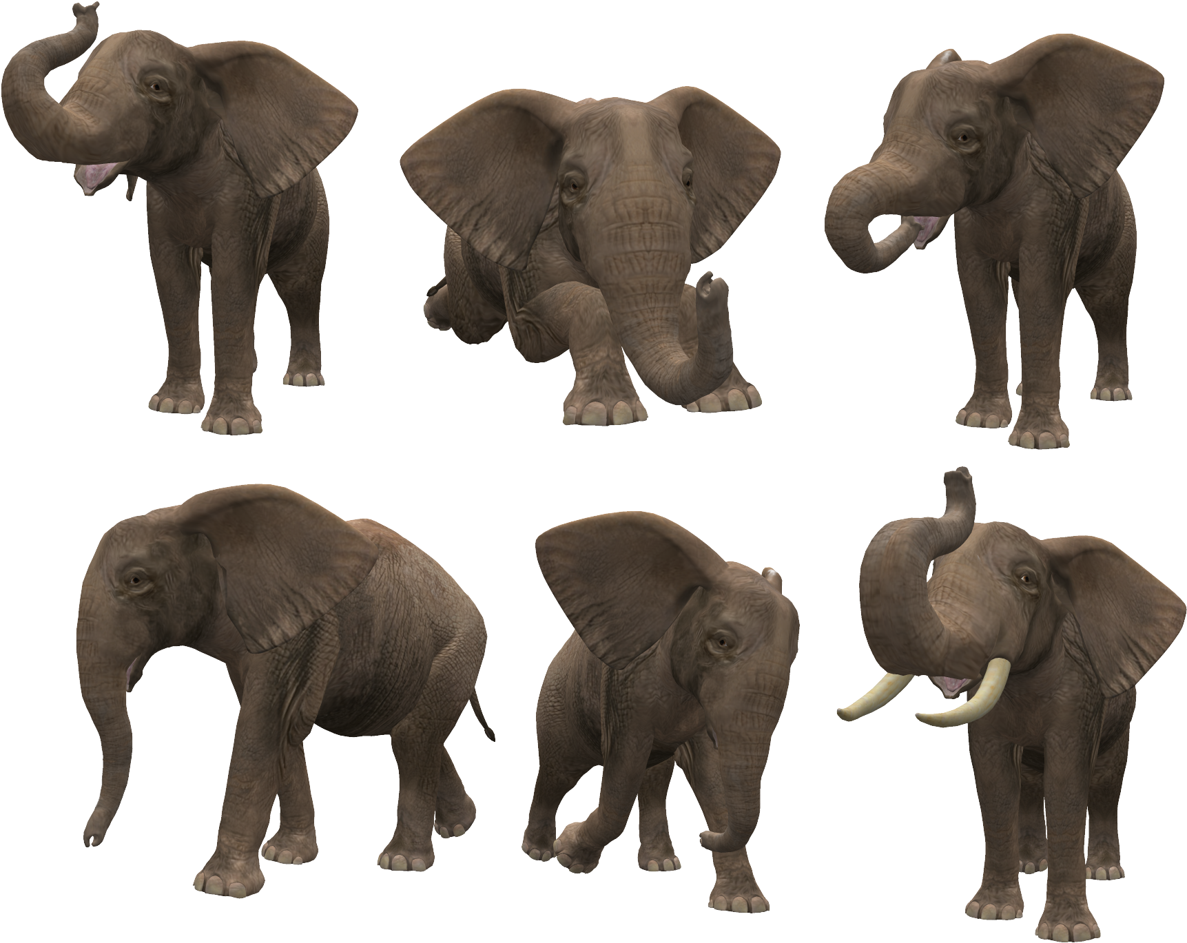 Слоны (1840x1504), Png Download