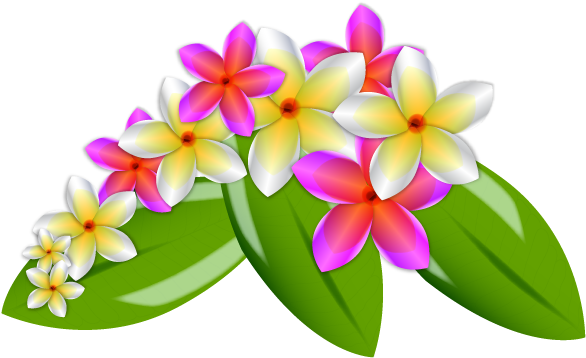 Flowers & Trees,nature - Hawaiian Flower Vector Png (600x440), Png Download