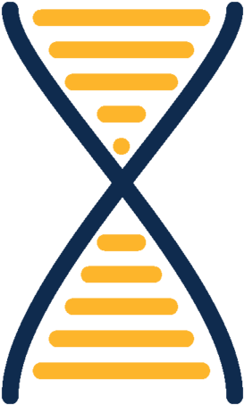 Dna (1000x1000), Png Download