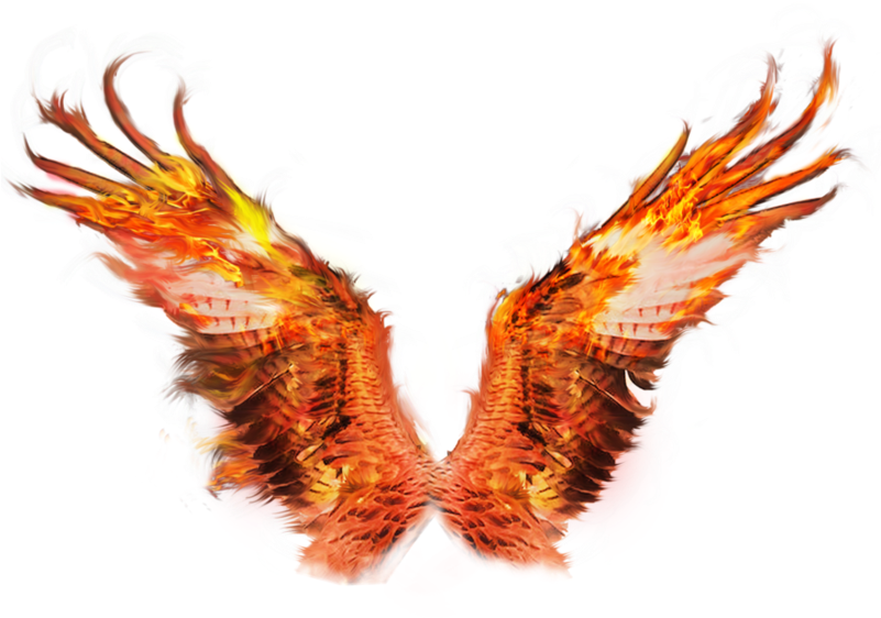 Fire Wing Png Clip Art Library Library - Fire Wing Png Transparent (800x618), Png Download