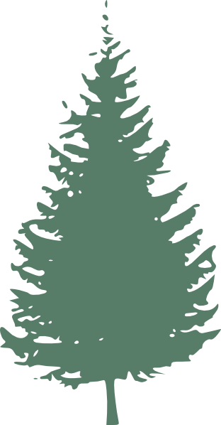 Pine Tree Silhouette (312x598), Png Download