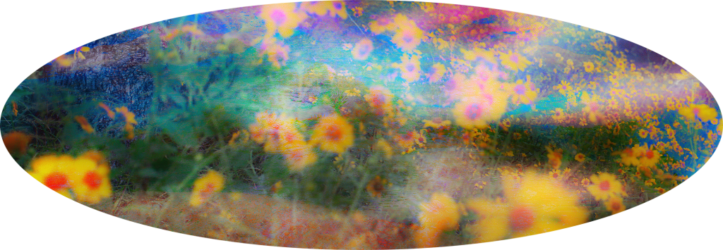 Hdl9 - - Trapper Keeper (1024x355), Png Download