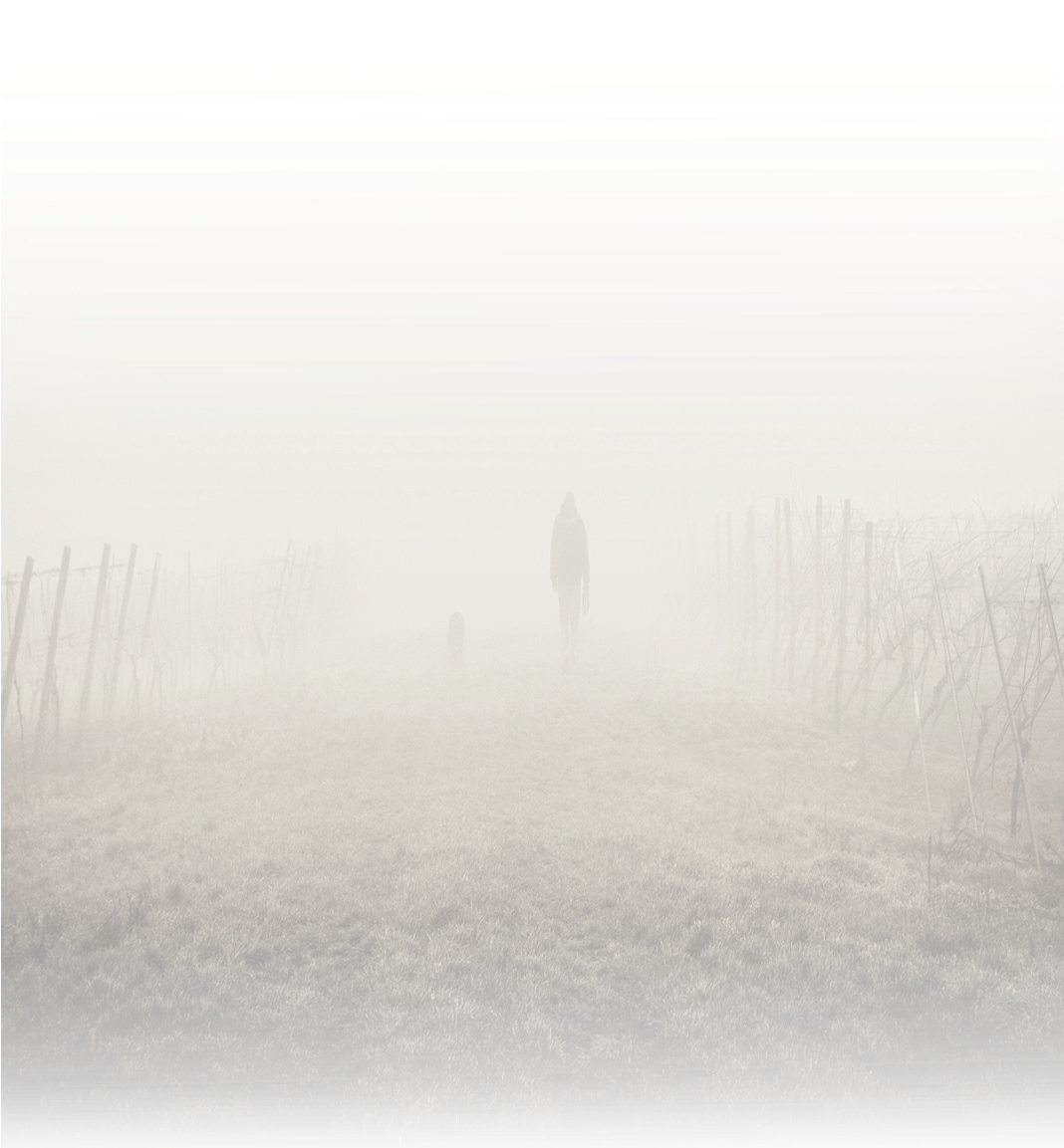 Visit My Other Website For More New Png - Mist (1067x1600), Png Download