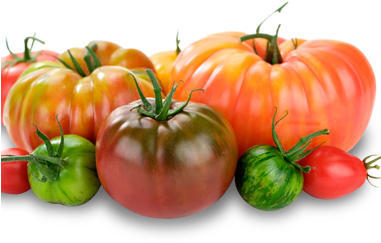 Summer Seasonal Ingredients What's Good Now At Seasons - Heirloom Tomato (380x333), Png Download