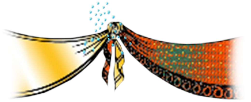Photoshop Clipart Png - Portable Network Graphics (1200x719), Png Download