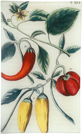 Peppers Xli Peppers Xli - Giclee Painting: Yellow And Red Bell Chili Peppers, (500x500), Png Download