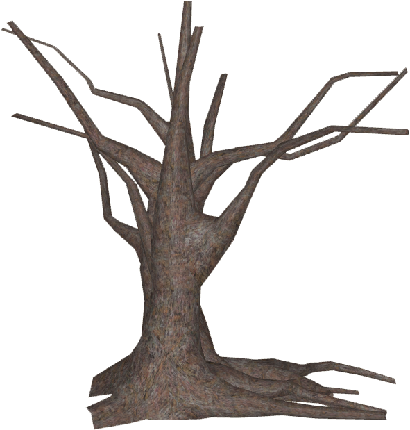 Dead Tree 4 - Driftwood (618x618), Png Download