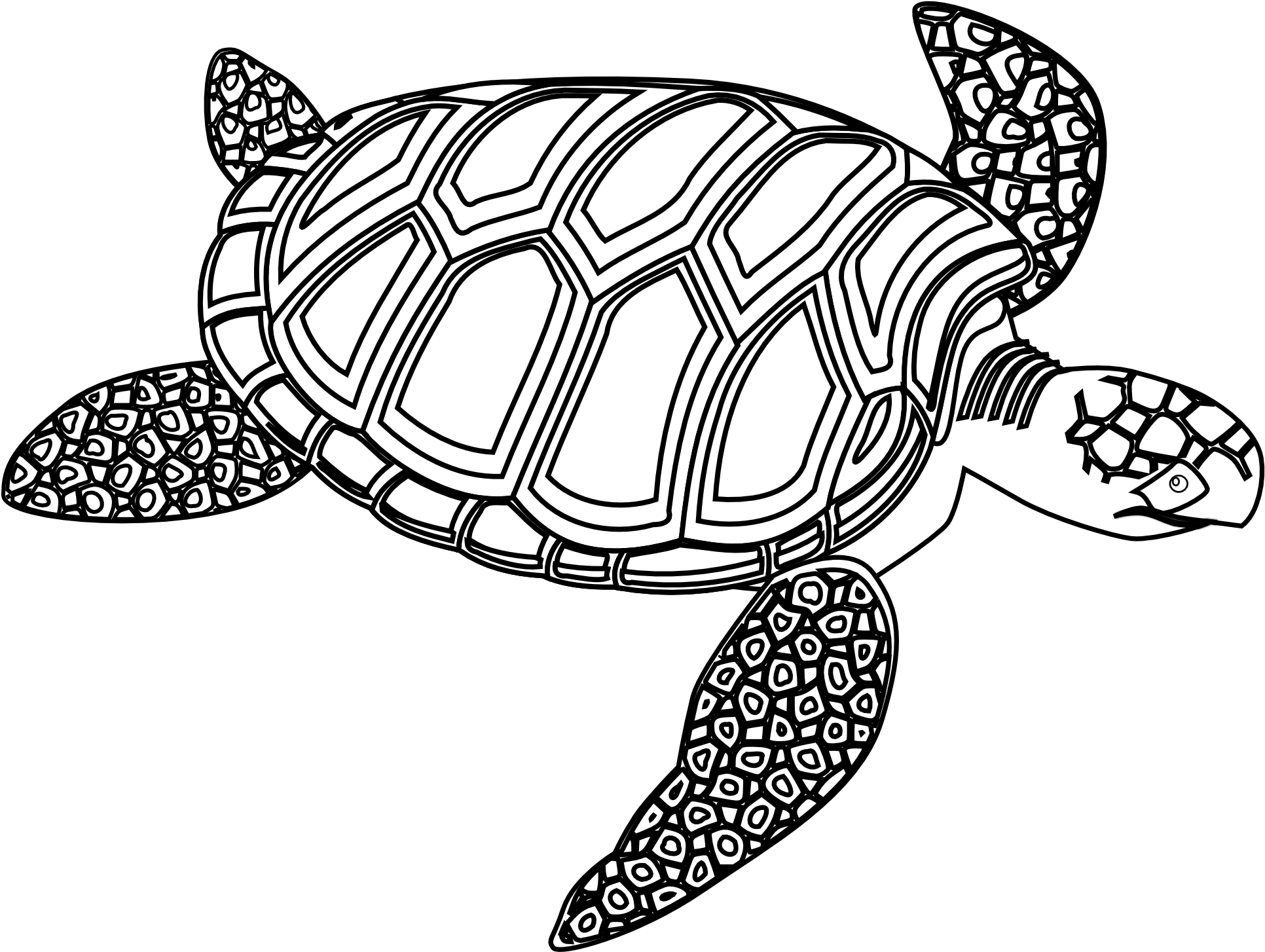 Drawn Sea Turtle Black And White - Green Sea Turtle Black And White (1979x1466), Png Download