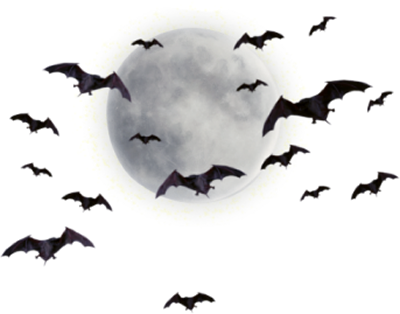 Graphics Moonpng - Moon And Bats Png (400x314), Png Download