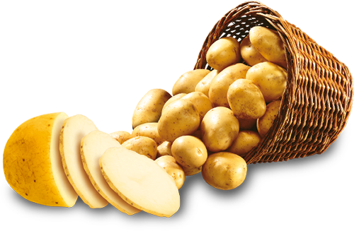 Sliced Potato Png Photo - Portable Network Graphics (500x327), Png Download