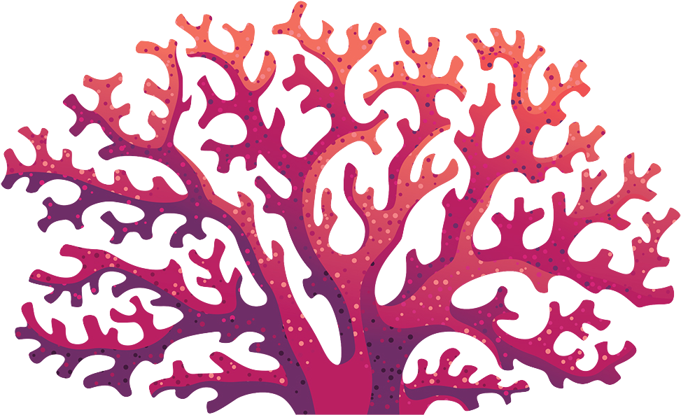 Coral - Under The Sea Coral Clipart (1007x613), Png Download