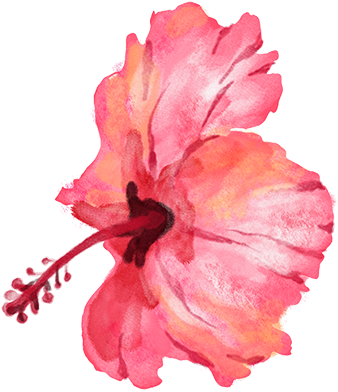 Flowersm - Portable Network Graphics (350x397), Png Download