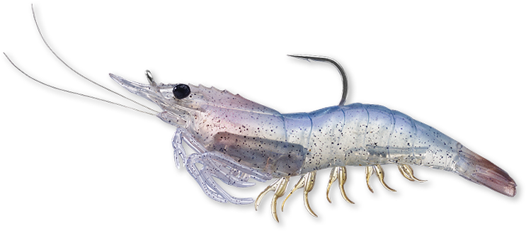 912 White Shrimp - Live Target Livetarget Rigged Shrimp Soft Plastic White (750x350), Png Download