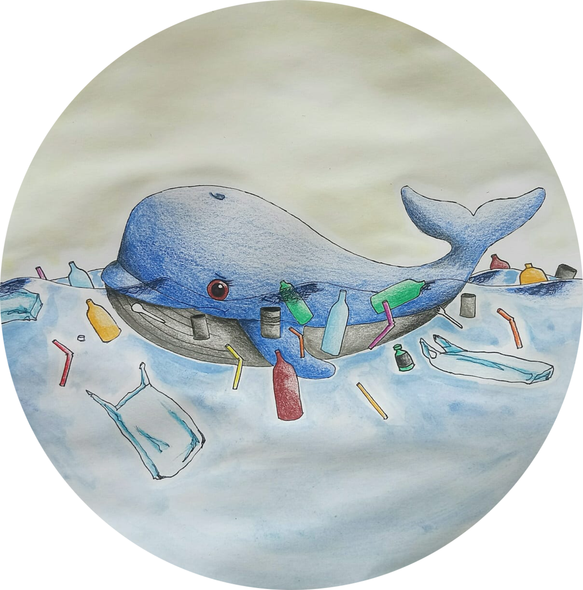 Emma Swimming In Plastic Trash - Beluga Whale (475x480), Png Download