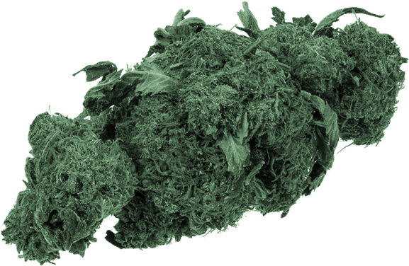 Let's Call Weed Flowers - Site Seacoastonline Com Marijuana (800x500), Png Download