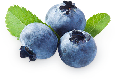 Blueberries Png - Bilberry Extract Powder 1 Lb (400x400), Png Download