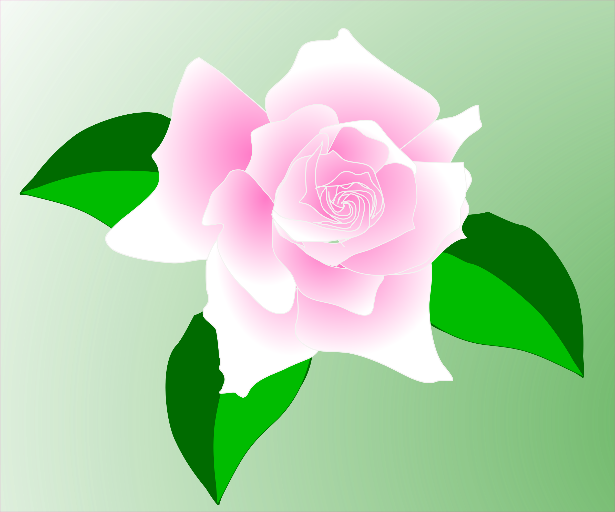This Free Icons Png Design Of Pink Rose (2400x2001), Png Download