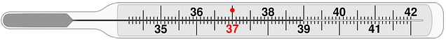 Thermometer, Medical, Clinical Thermometer, Temperature - Coding Bootcamp (640x320), Png Download