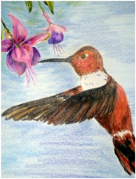 Picture - Pencil (517x800), Png Download