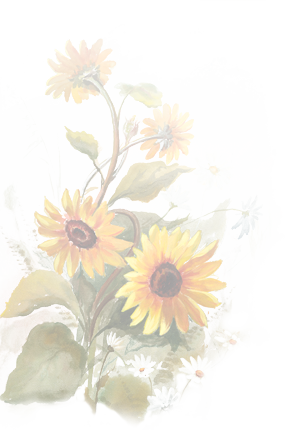Chrysanths (286x432), Png Download