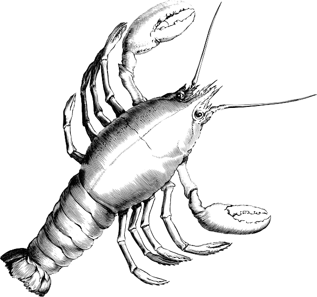 Lobster, Crab, Crustacean, Crayfish, Shrimp, Crawfish - Cancer Constellation (640x600), Png Download