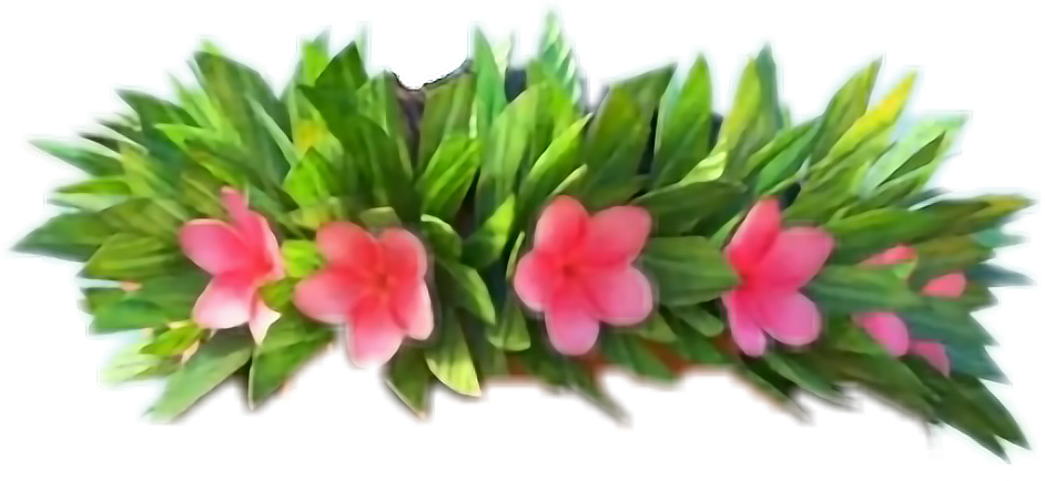 Moana Transparent Flower - Moana Flower Crown Png (942x434), Png Download