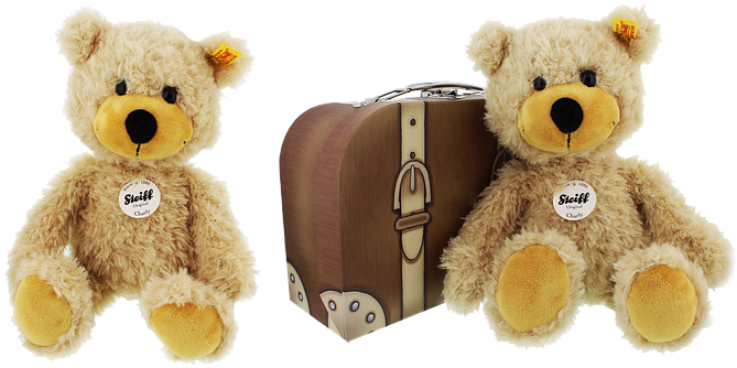 Teddy Bear (674x340), Png Download