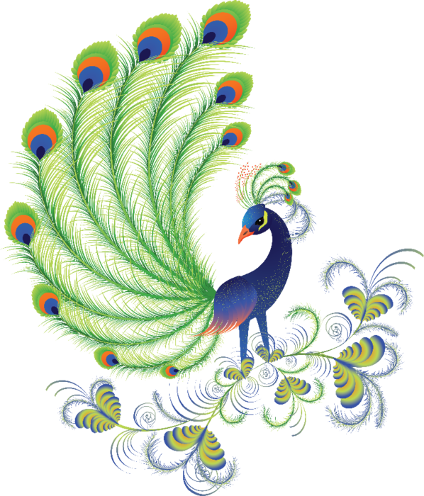 Peacock Clipart Adorable - Peacock * * Png (598x700), Png Download