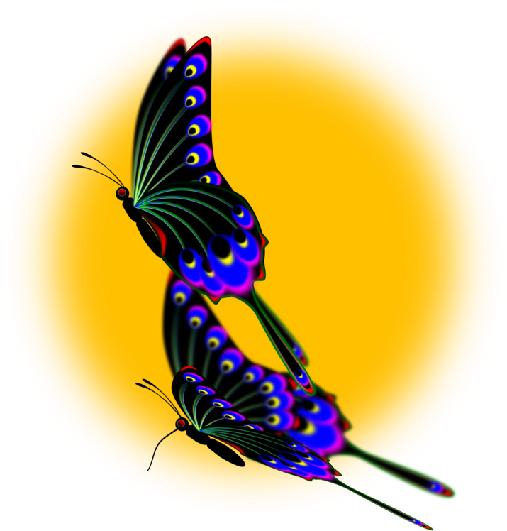 All Photo Png Clipart (750x750), Png Download