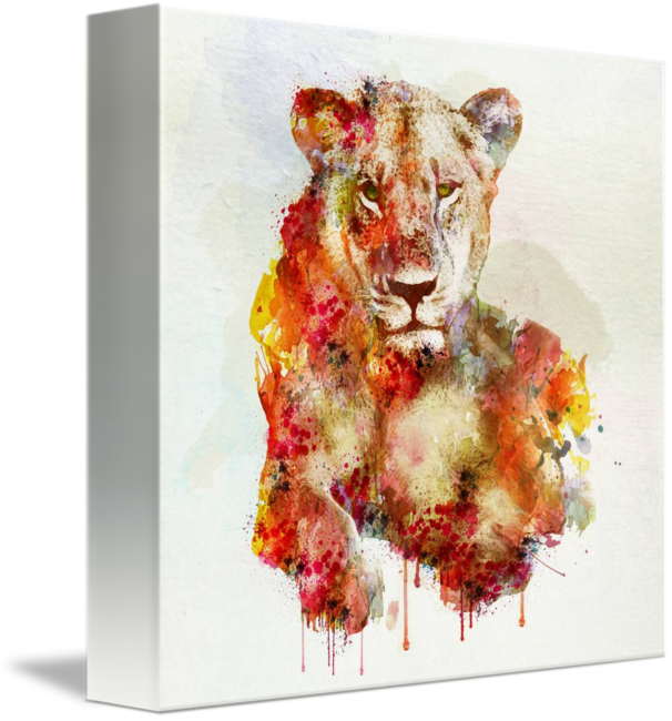 "resting Lioness" By Marian Voicu, Bucharest // Watercolor - Resting Lioness In Watercolor (606x650), Png Download