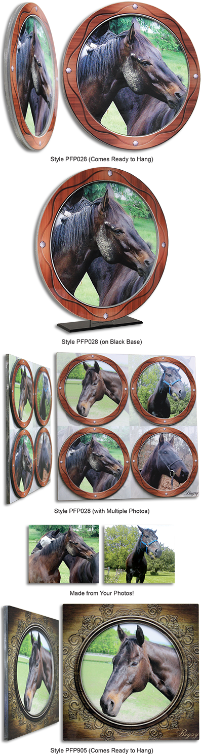 Photo Frames Plus - Photograph (400x1500), Png Download