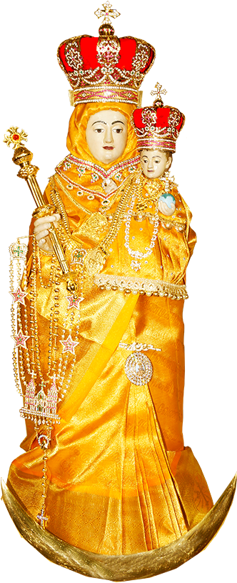 Live Mass From Velankanni - Velankanni (400x850), Png Download