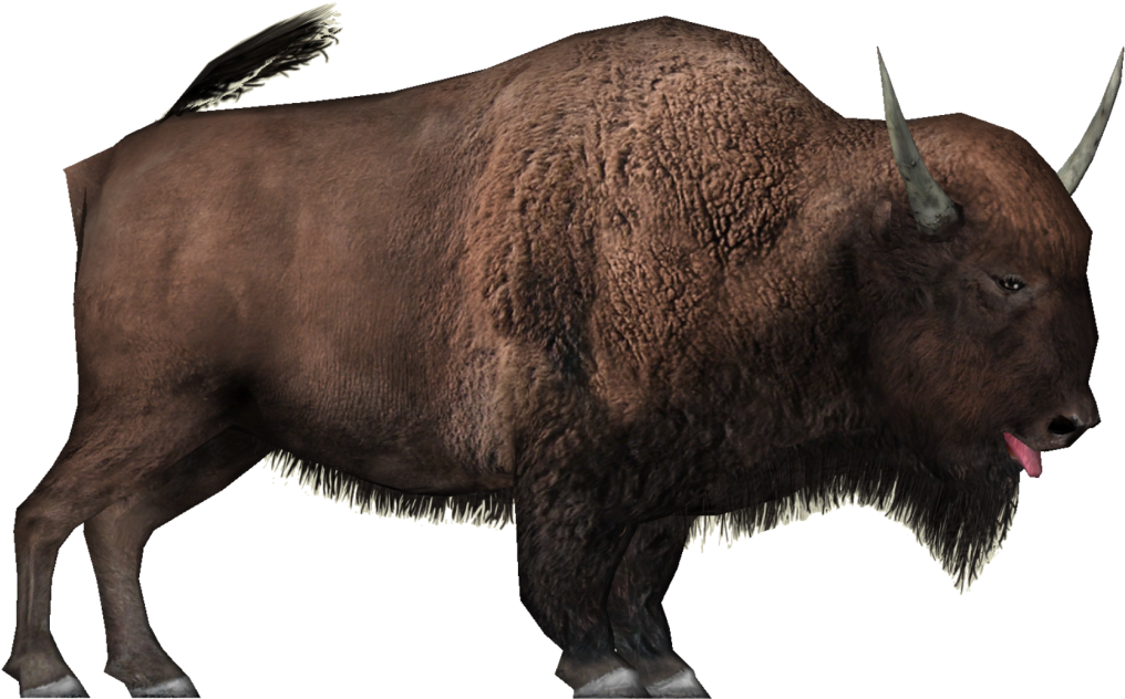 Jpg Black And White Library Bison Clipart White Background - Бизон Пнг (1024x1024), Png Download