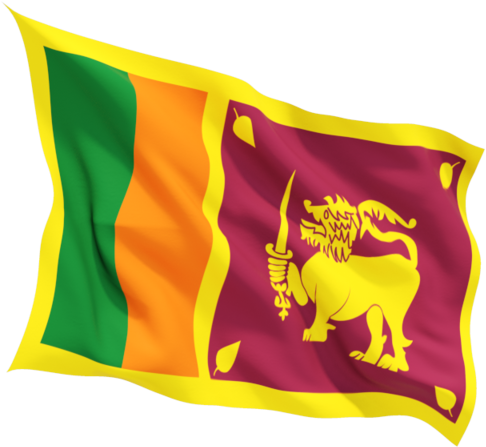 National Flag Sri Lanka - 70 Independence Day Sri Lanka (640x480), Png Download