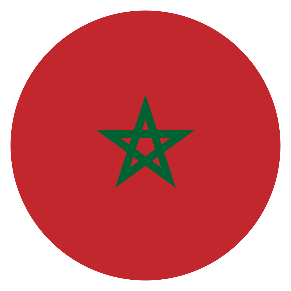 Morocco Flag - Ville De Saint Etienne (1000x1000), Png Download