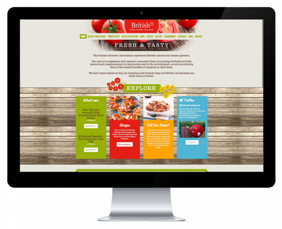 Creative Web Design - Web Design (562x455), Png Download