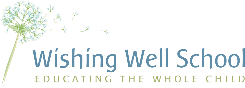 Wishing Well School Wishing Well School Is An Education - Graphic Design (1015x381), Png Download