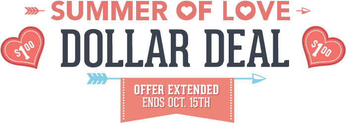 Summer Of Love Offer Extended - Dollar Beard Club (740x282), Png Download