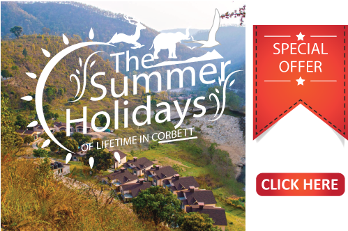 Mattel Toy Recall (506x331), Png Download