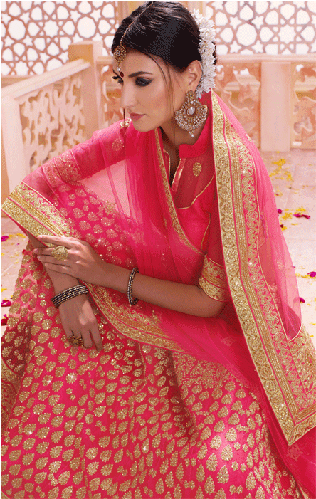 Punch Pink Net Semi-stiched Lehenga With Zari - Lehenga (800x700), Png Download