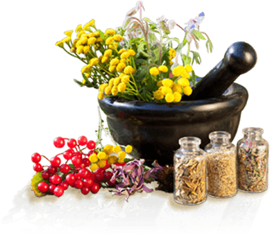 Download Png Image Report - Ayurveda Png (447x350), Png Download