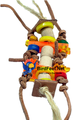 Fun-max Toys, Yogi, For Pet Birds - Baby Toys (400x400), Png Download