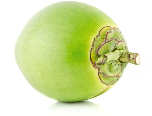 Green Tender Coconut - Green Coconut (500x409), Png Download