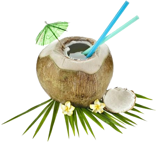 The Coconut Processing Therefore Traditionally Remained - Fresh Coconut Water (611x476), Png Download