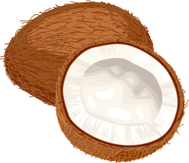 Coconut Clipart Cute - Coconut Oil Miracle: 30+ Coconut Oil Recipes Coconut (639x552), Png Download