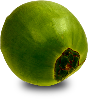 Green Coconut Png - Papaya (362x400), Png Download