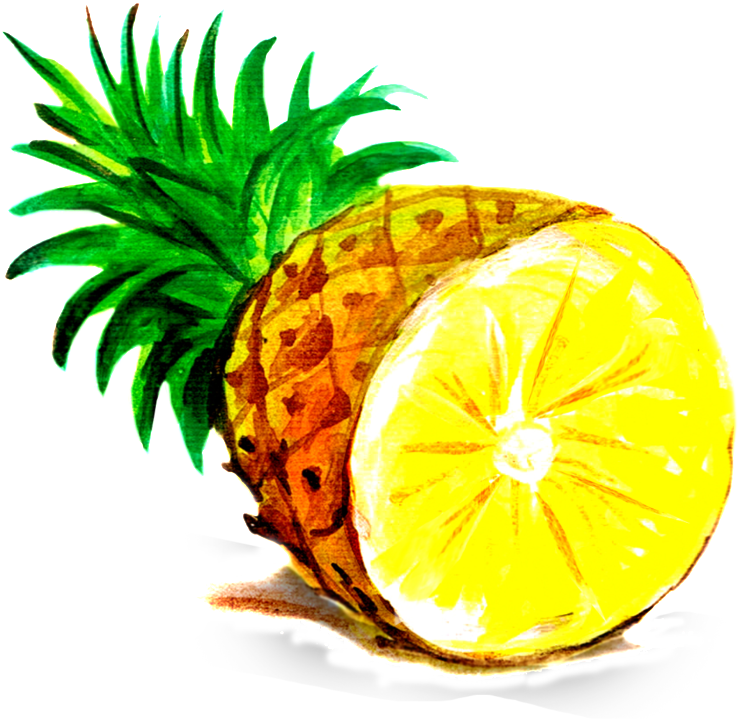 Pineapple Cartoon Transparent - Top Of Pineapple Cut On Basketweave Leash (1024x1472), Png Download