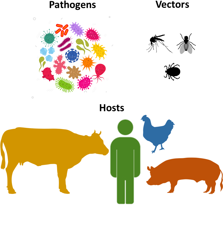 Climate Change Can Affect Different Actors Along The - Illustration (771x819), Png Download