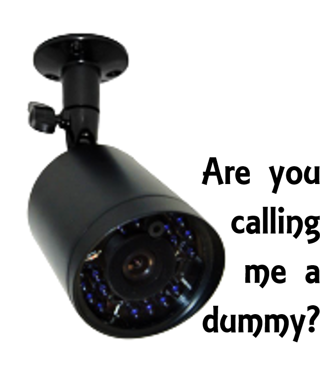 Should You Buy Dummy Outdoor Security Cameras - Astellas/bladder And Bowel Foundation - Astellas (734x757), Png Download